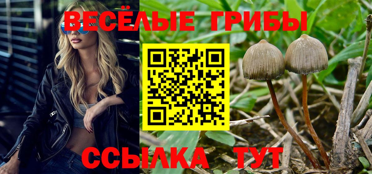 Псилоцибиновые грибы ЛСД Ржев